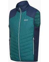 Regatta - Halton Body Warmer Gilet - Lyst