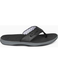 Sperry Top-Sider - Baitfish Thon - Lyst