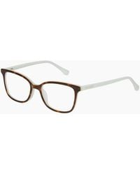 Ted Baker - Optical Frame Tbb960 165 48 - Lyst