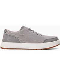 Timberland - Maple Grove Canvas Low Top Lace Up Sneakers - Lyst