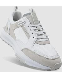 Cruyff - Rayado Trainers - Lyst