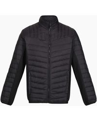 Regatta - Tourer Hybrid Padded Jacket - Lyst