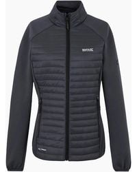 Regatta - Ladies Clumber Hybrid Jacket - Lyst