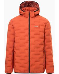Regatta - Astrel Padded Jacket - Lyst