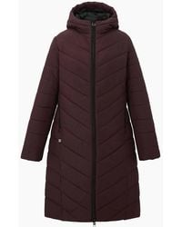Regatta - Ladies Adela Padded Jacket - Lyst