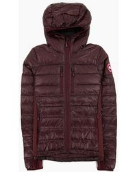 Canada Goose - Ladies Hybridge Lite Down Hoody Elderberry 810 - Lyst