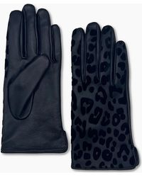 Nooki Design - Felicity Leopard Flocked Glove - Lyst