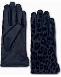 Nooki Design - Felicity Leopard Flocked Glove - Lyst