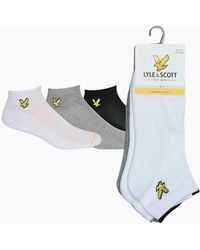 Lyle & Scott - Ankle Socks Stretch Trainer 3X Pack Cotton Sports Socks 7-11 - Lyst
