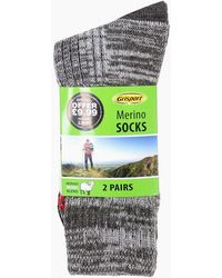 Grisport - Merino Wool 2 Pack Socks - Lyst