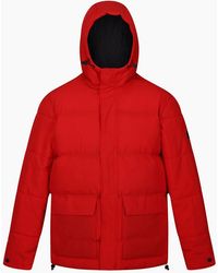 Regatta - Falkner Padded Jacket - Lyst