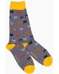 Swole Panda - Cat Socks - Lyst