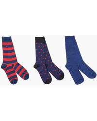 Swole Panda - Bamboo Sock 3 Pack Gift Set - Lyst