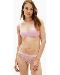 Tommy Hilfiger - Repeat Logo Floral Lace Tanga Thong, Bonita - Lyst