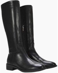 XY London - Ladies Lucia Knee-High Low Block Heel Riding Boots - Lyst