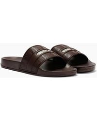 Original Penguin - Penguin Paradise Chocolate Slides - Lyst