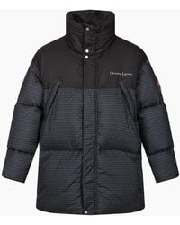 Regatta - Christian Lacroix Barbegal Printed Padded Jacket - Lyst