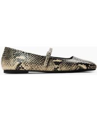 Steve Madden - Ezri Ballet Pumps - Lyst
