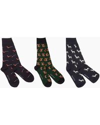 Swole Panda - Bamboo Sock 3 Pack Gift Set - Lyst