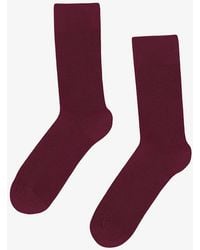 COLORFUL STANDARD - Classic Organic Socks - Lyst