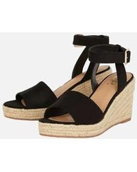 Dorothy Perkins - Ladies Rebekah Peep Toe Wedge - Lyst