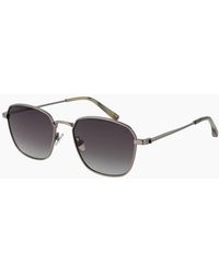 Ted Baker - Sunglasses Tb1652 901 53 - Lyst