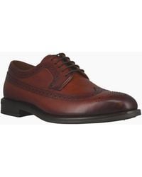 Josef Seibel - Cedric 05 Brogues - Lyst