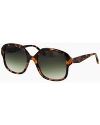 Ted Baker - Sunglasses Tb1685 267 55 - Lyst