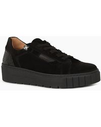 Gabor - Ferry Trainers - Lyst