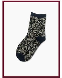 Nooki Design - Love Leo Sock Set- Mix - Lyst