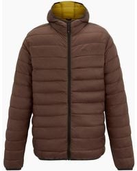 Regatta - Marizion Baffled Hooded Padded Jacket - Lyst