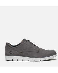 Timberland - Bradstreet Low Lace-Up Trainer - Lyst