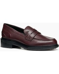 Geox - D Walk Pleasure F Moccasins - Lyst