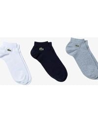 Lacoste - Pack Of 3 Pairs Of Low Sport Trainer Socks - Lyst