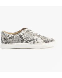 Hush Puppies - Tessa Leather Casual Trainers Python - Lyst