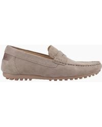 Cotswold - Combe Leather Shoes Taupe - Lyst