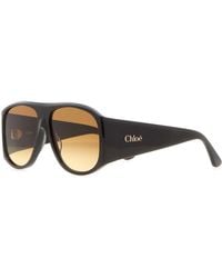 Chloé - Dark Acetate Izia Sunglasses - Lyst