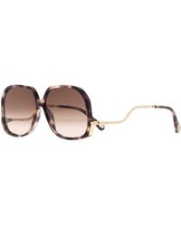 Chloé - Acetate Sunglasses - Lyst