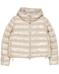 Herno - Neutrals Jackets - Lyst