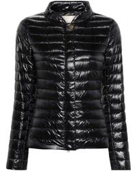 Herno - Nylon Short Down Jacket - Lyst