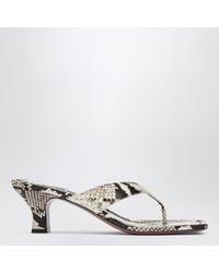 Paris Texas - Python-print Thong Slides - Lyst