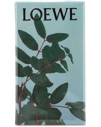 Loewe - Incense Room Spray - Lyst