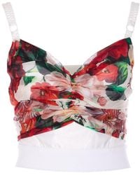 Dolce & Gabbana - Dolce&Gabbana Rose-Print Marquisette And Chiffon Corset Top - Lyst