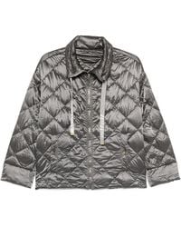 Max Mara - Padded Blouson Jacket - Lyst