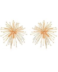 Cult Gaia - Earrings - Lyst