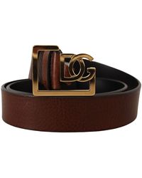 Dolce & Gabbana Brown Leather Gold Dg Logo Buckle Belt - Black