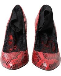 Dolce & Gabbana - Almond Toe Snakeskin Pumps With Lace Socks - Lyst