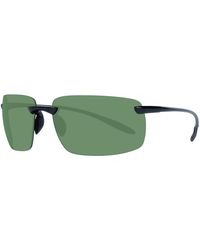 Serengeti Sunglasses for Women | Online Sale up to 49% off | Lyst