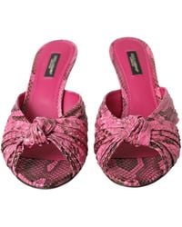 Dolce & Gabbana - Exotic Leather Kitten Heels Slides Shoes Python - Lyst