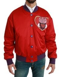 Dolce & Gabbana - Year Of The Pig Bomber Jacket - Lyst